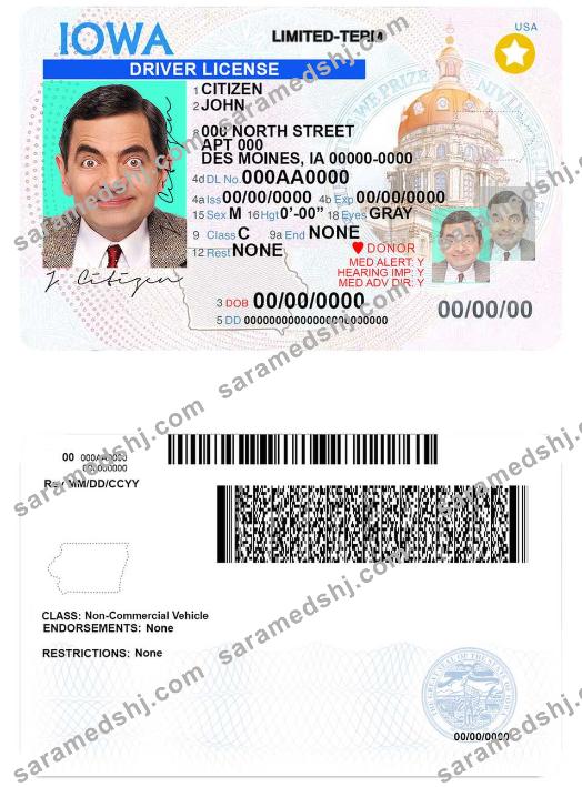 USA Iowa driving license